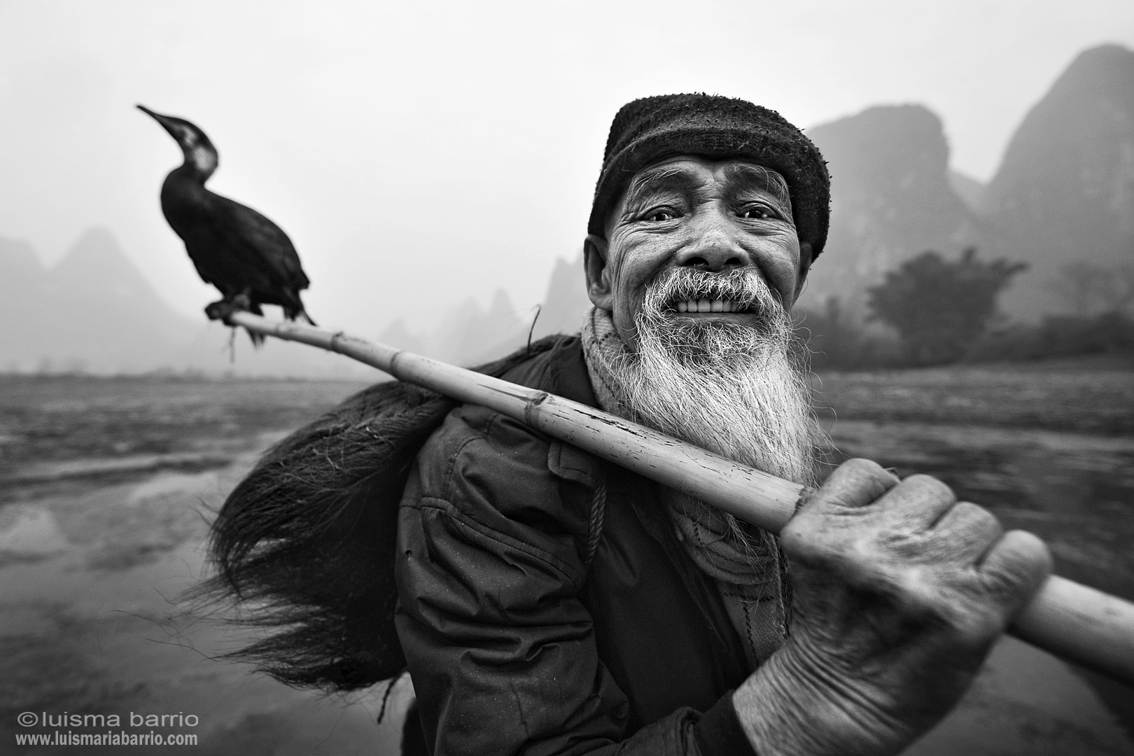 portrait cormorant fisherman li river china